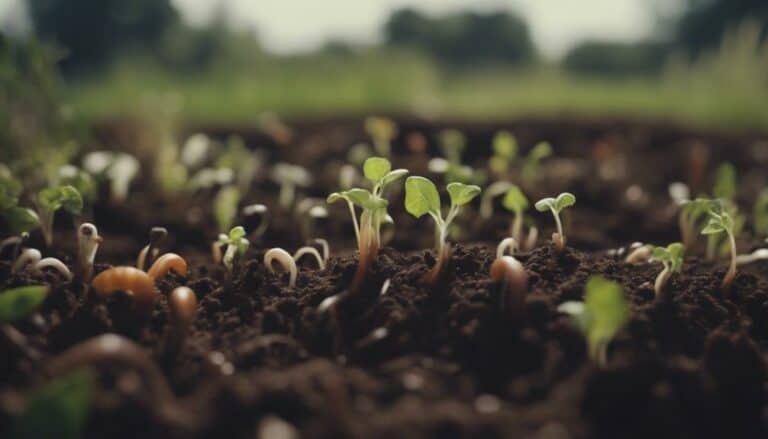 improving soil health practices