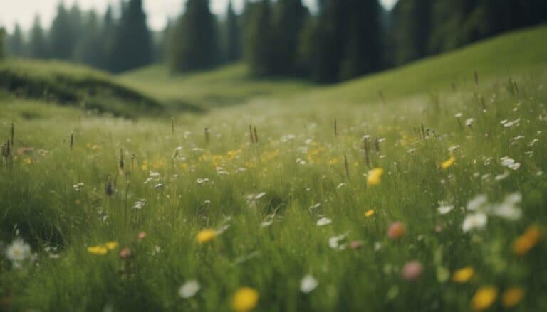 land restoration for ranchers