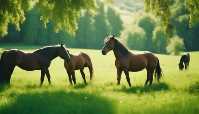 optimal pasture care for horses