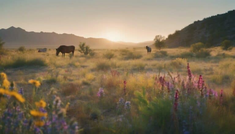 ranching with native plants