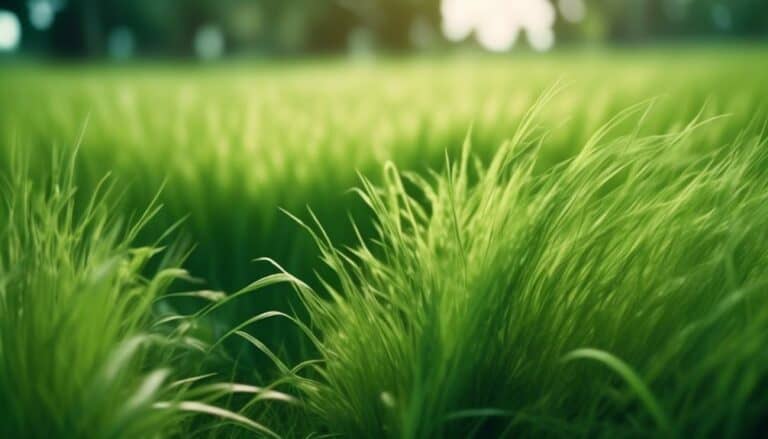 selecting the perfect pasture grass