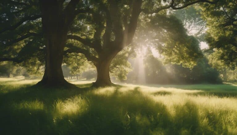 silvopasture for shade and forage