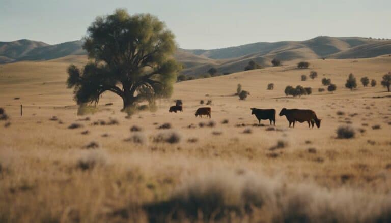 wildlife habitats on ranches